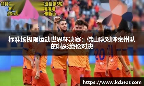 标准场极限运动世界杯决赛：佛山队对阵泰州队的精彩绝伦对决