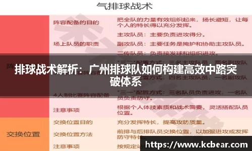 星空.综合体育官网